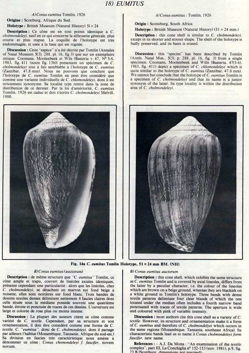 Conus textile f. eumitus, Tomlin 1926